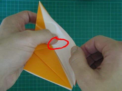 Origami Tip Folding a Closed Sink Gilad Naor