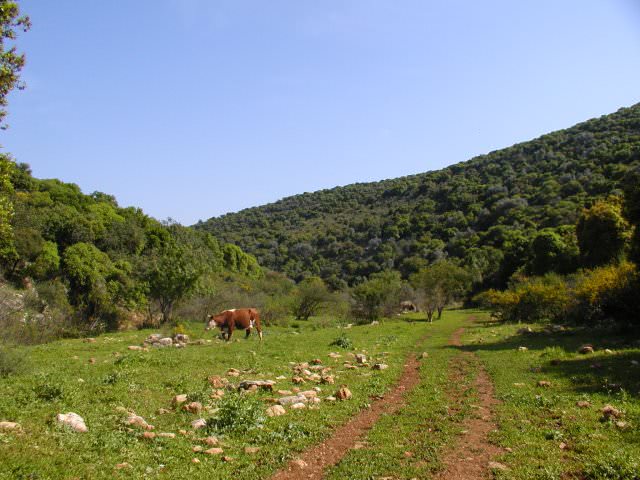 Picture of a road